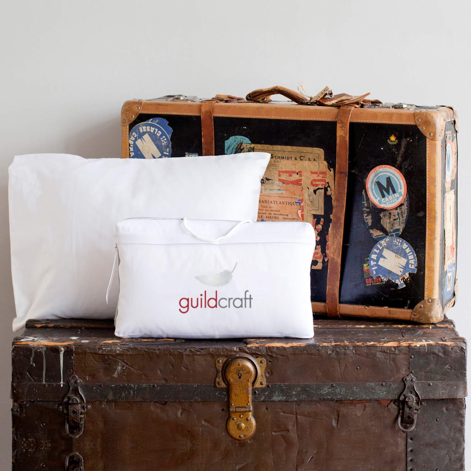 Travel Duvet & Pillow