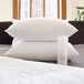 Polish White Goose Down Pillows Embassy