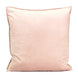 Dutch Velvet Cushion