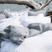 Linea | Linen Jacquard Duvet Cover