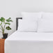 200 Thread Count Percale Deluxe Pillow cases