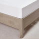 Organic Cotton Sheet Set