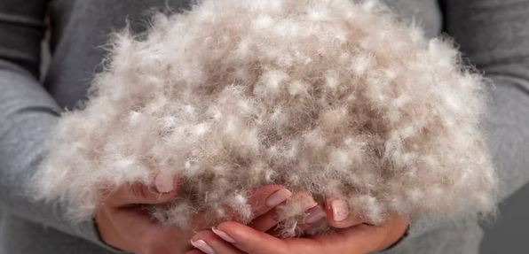 The Luxury Collection