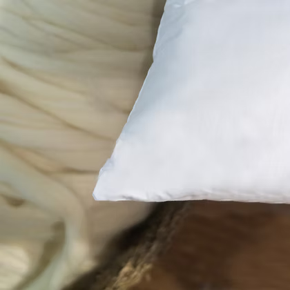 Pure Down Pillow Ziegler