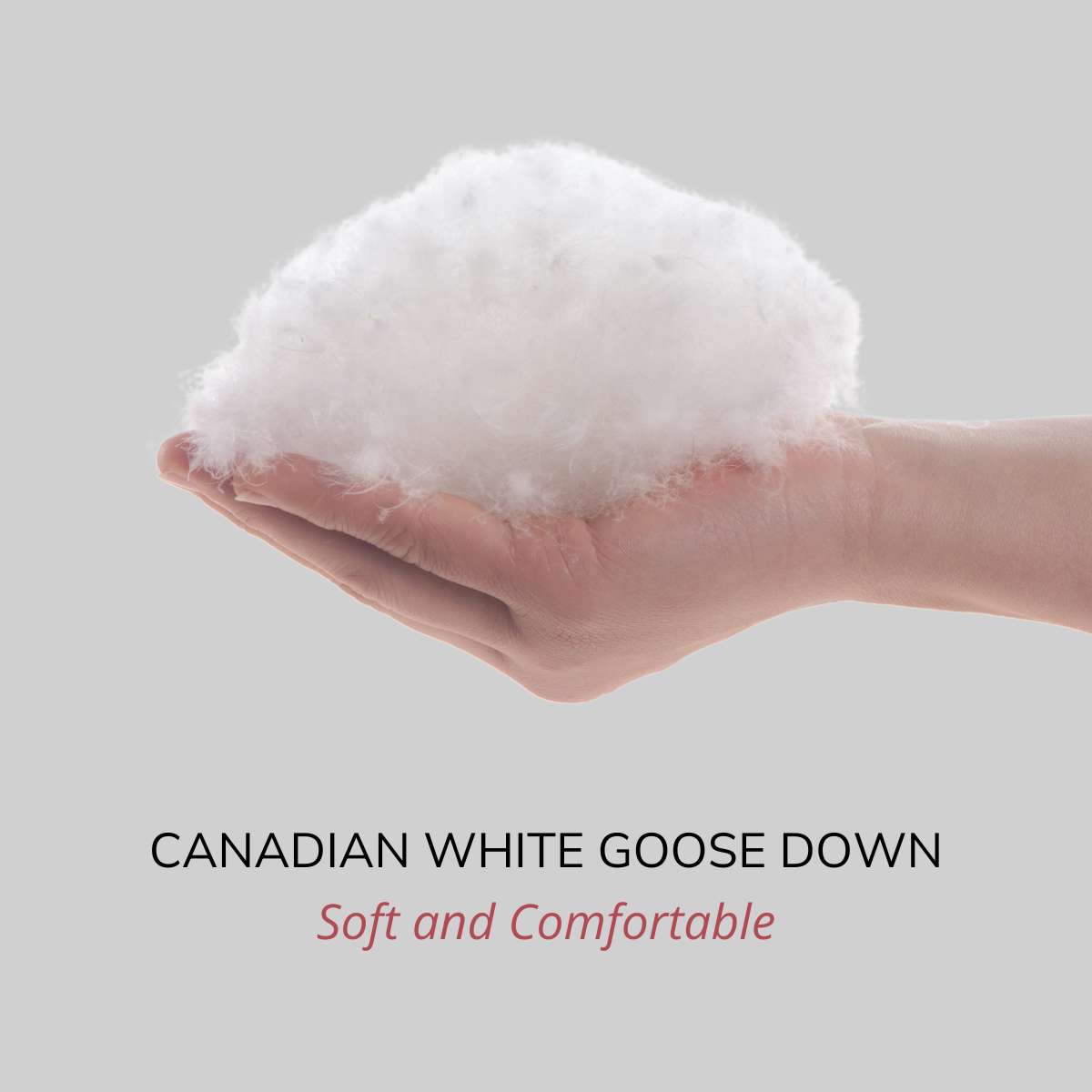 Canadian white goose down that is used for pillows and duvets made by Guildcraft.