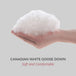 Port-A-Pillow Pure Down Travel Pillow – 12" x 16" Compact & Hypoallergenic