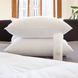 Polish White Goose Down Pillows Embassy