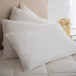Pure Down Pillow Ziegler