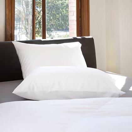 Polish White Goose Down Pillows Embassy
