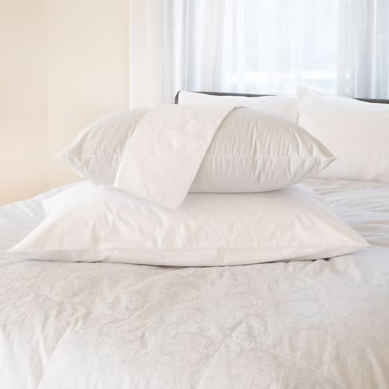 Genuine Eiderdown Canadian Pillow