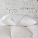 Body Pillow ,Protectors ,Pillowcase (Sold Separately)
