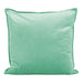 Dutch Velvet Cushion