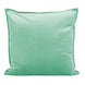 Dutch Velvet Cushion