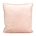 Dutch Velvet Cushion