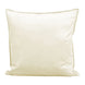 Dutch Velvet Cushion