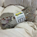 Peanut Pillow (adult size) – Compact Therapeutic Support for Travel, Posture & Pain Relief