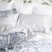 Isla Grove Shams