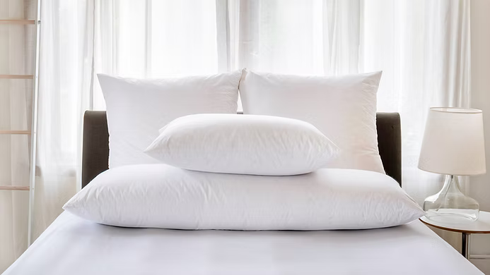 Body Pillow ,Protectors ,Pillowcase (Sold Separately)