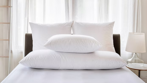 Body Pillow ,Protectors ,Pillowcase (Sold Separately)